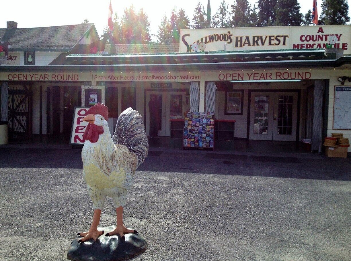 I love this store with a variety of specialty foods and wines that are locally grown and made. During the summer and fall, they sell fresh, local produce as well. Also located on the property is a petting zoo, coffee stand, play area and a picnic area. Just a couple of miles from Leavenworth, WA.
