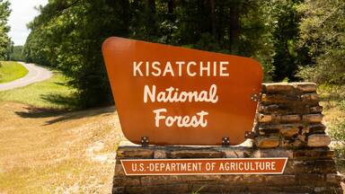 Sign Marking the Boundary of Kisatchie National Forest Protected Land in Louisiana