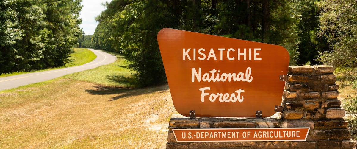 A sign for Kisatchie National Forest with a road curving in the background.