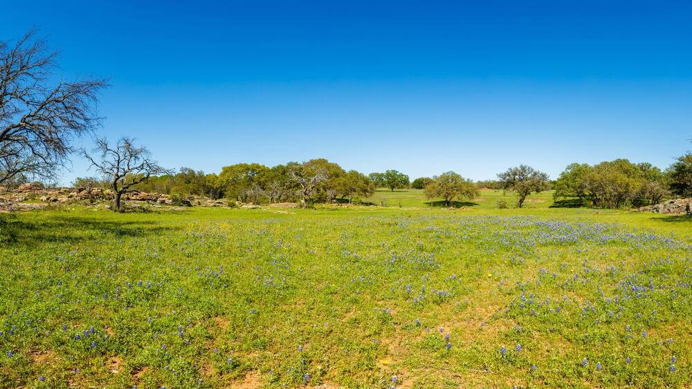 Texas Hill Country