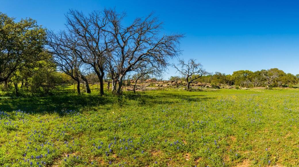 Texas Hill Country