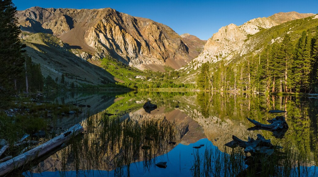 Reflection of mountains and trees on Parker Lake in California eastern sierra mountains