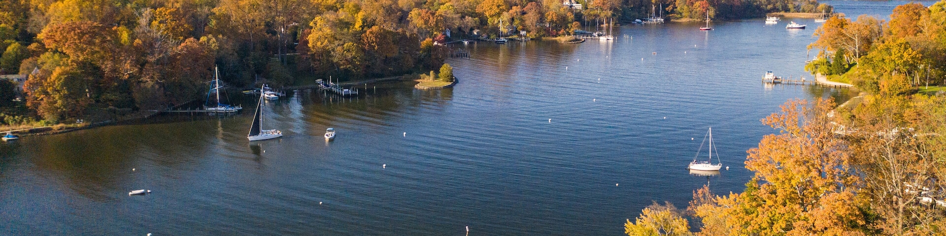 Aerial view of colorful sailboat moorings, docks, and bright golden foliage on Weems Creek, in historic downtown Annapolis Maryland on a fall day