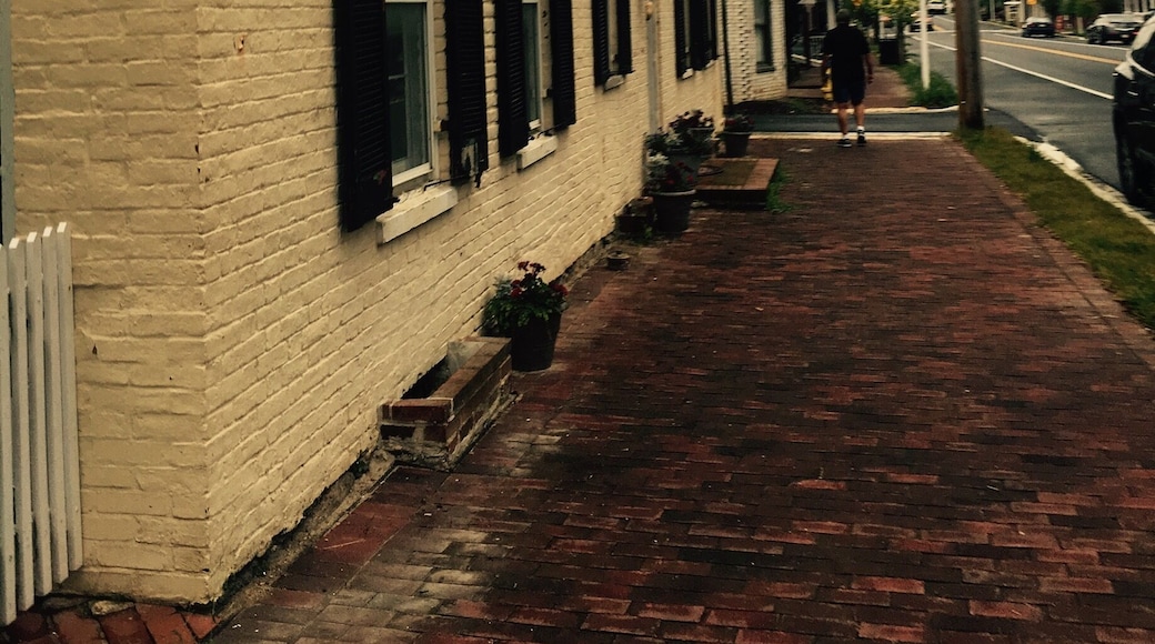 Frederick and Mt. Airy Maryland... Home to some of the cutest little coffee shops, record stores, antique shops, and duck pin bowling. Anytime you go to Maryland be sure to check out the Rock and Roll Graveyard record shop and The Record Exchange in Fredrick, Maryland. 🎼