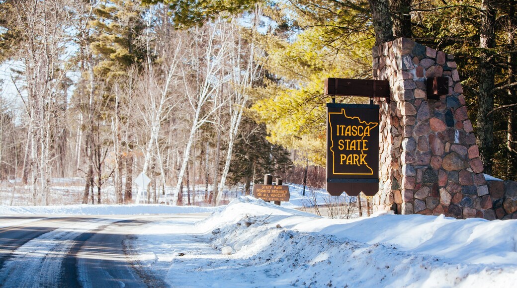 Itasca State Park in Minnesota USA