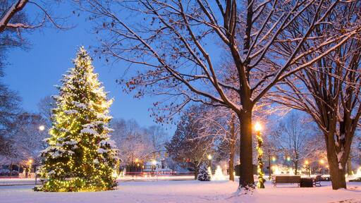 Worthington, Ohio Christmas Tree