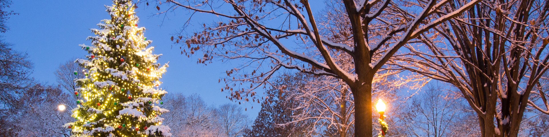 Worthington, Ohio Christmas Tree