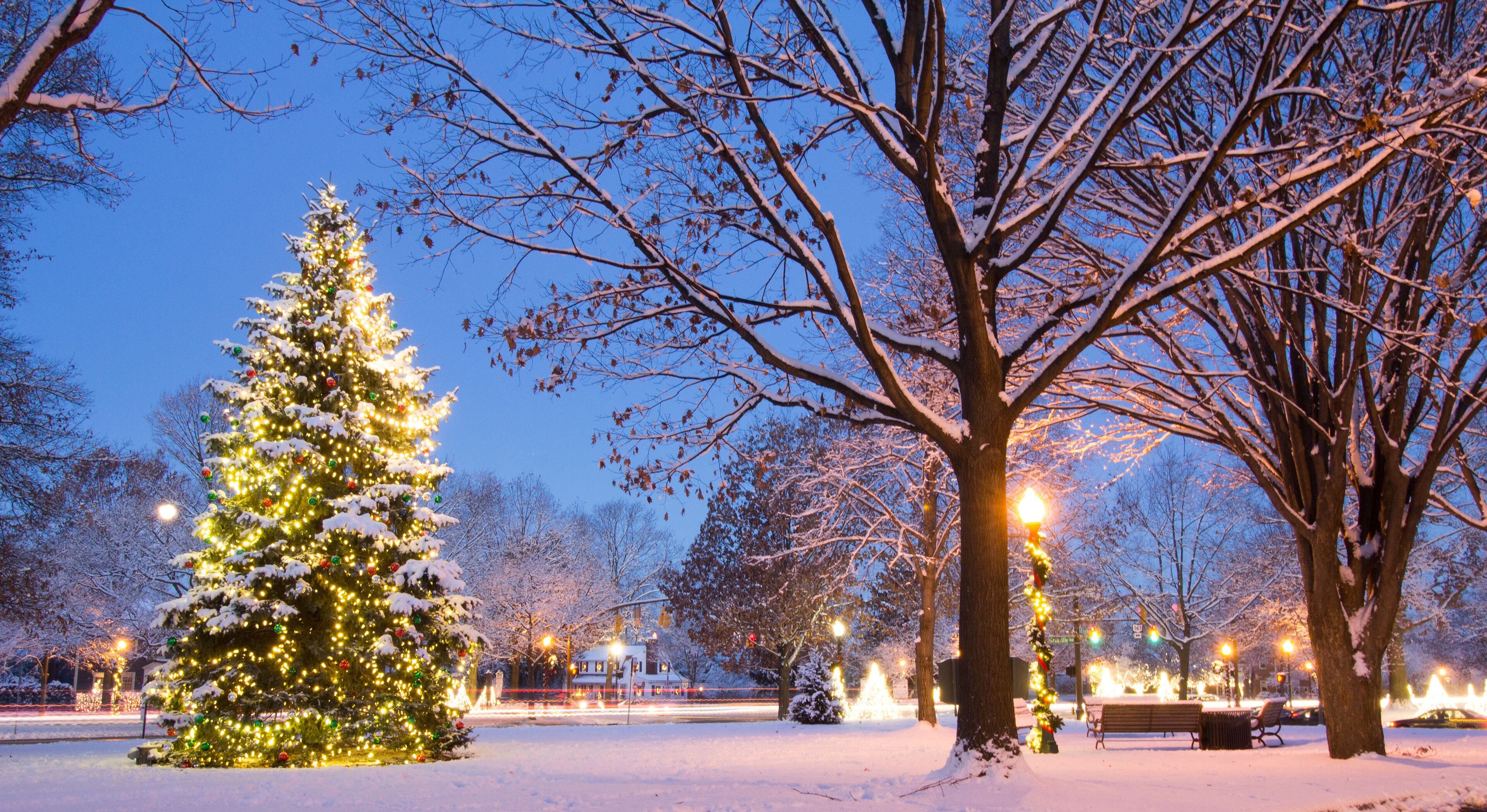 A snow-covered park with a large Christmas tree and street lamps.