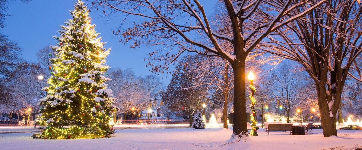 A snow-covered park with a large Christmas tree and street lamps.