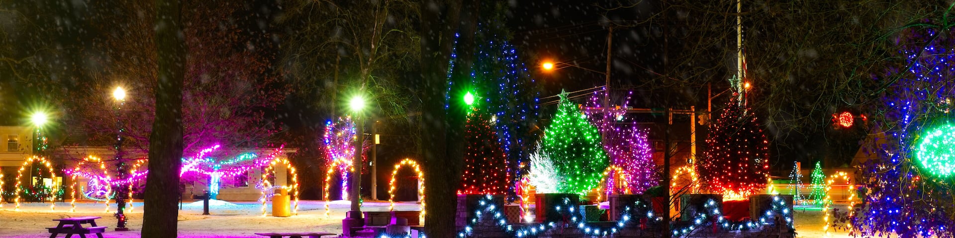 A snow-covered park at night with illuminated trees and a Christmas tree.