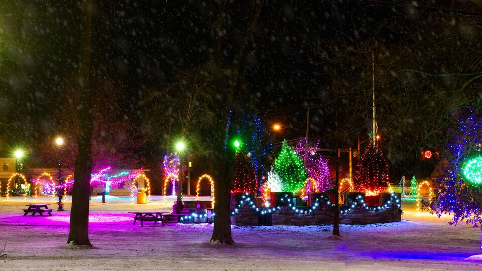 A snow-covered park at night with illuminated trees and a Christmas tree.