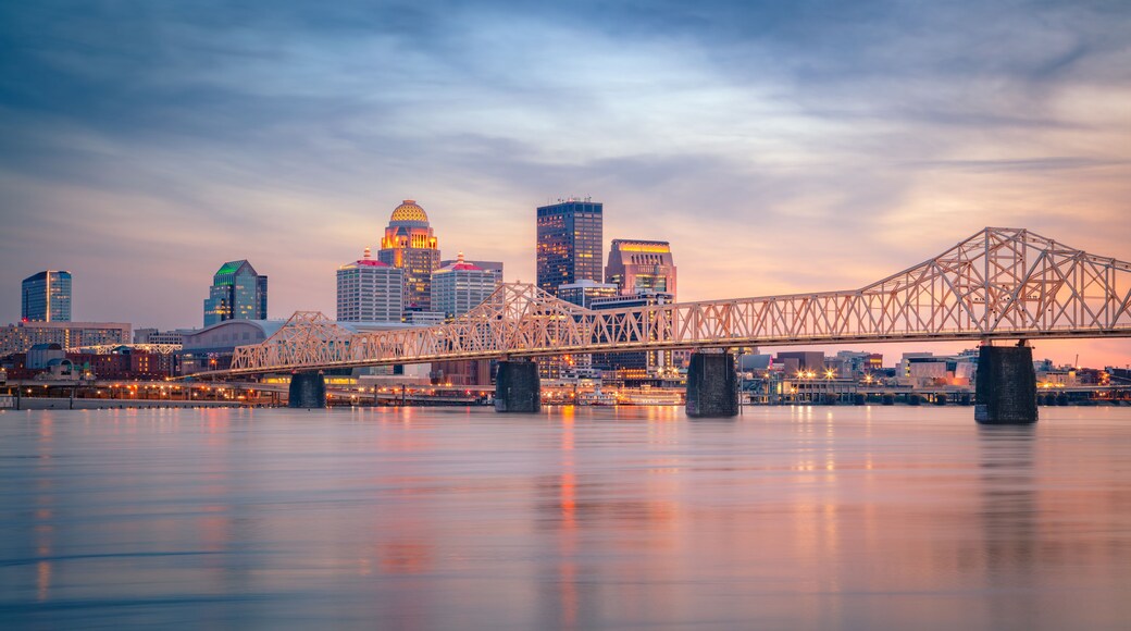 A bridge over a river with a city skyline in the background.