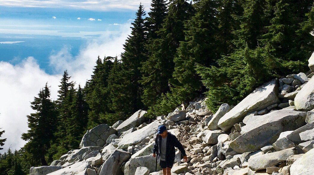 Mount Pilchuck is a fun, relatively short hike just 57 miles northeast from Seattle. It is one of the most popular trails in Washington State.