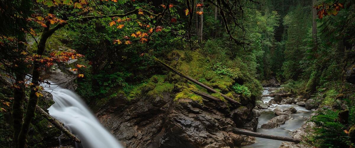 A waterfall in a forested area with moss-covered rocks and autumn-colored leaves.