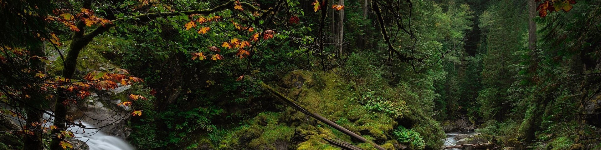 A waterfall in a forested area with moss-covered rocks and autumn-colored leaves.