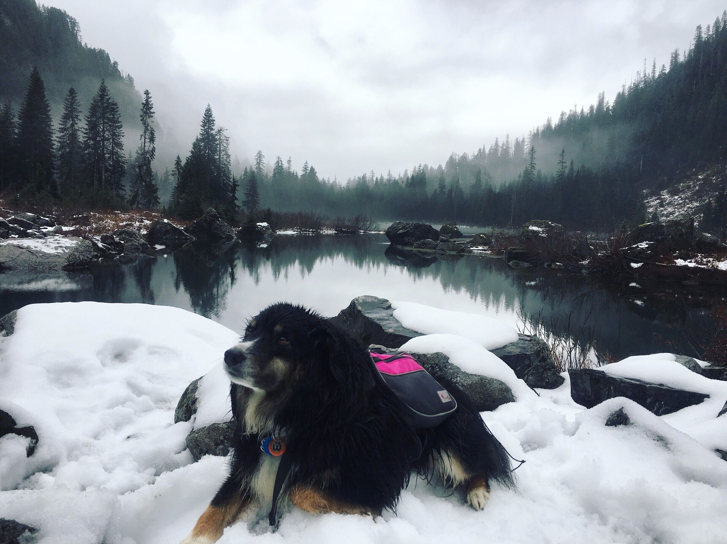 #lifeatexpedia

Heather Lake trail is a backed out trail near Granite Falls with an essence of valley covered in snow during winters. It was perfect getaway hike with Biscuit (dog with amazing backpack). The top of the lake is frozen during this time and you can hear crazy sounds when throwing rocks across frozen lake.