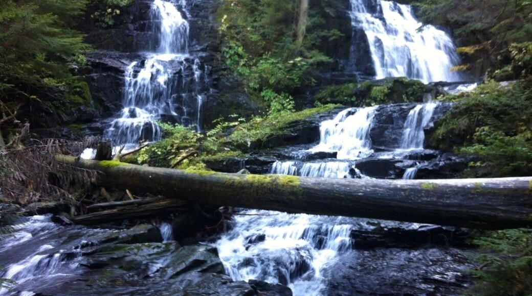 Lake twenty two trail off mountain loop hwy. Find these two waterfalls about 1.5 miles off trail on the left. Peaceful, quiet and serene. Continue back on trail for another mile or so to the lake.