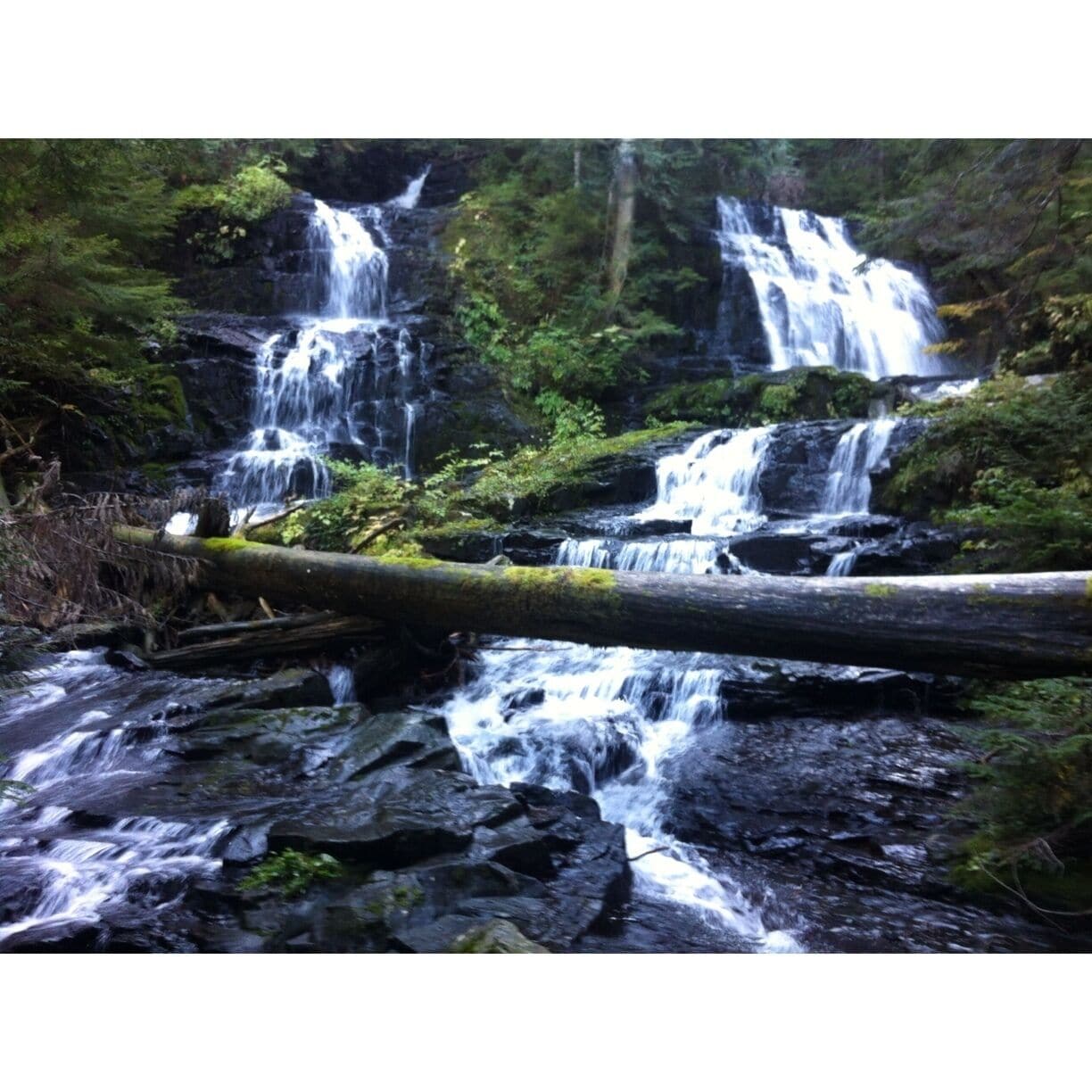 A multi-tiered waterfall surrounded by dense forest.