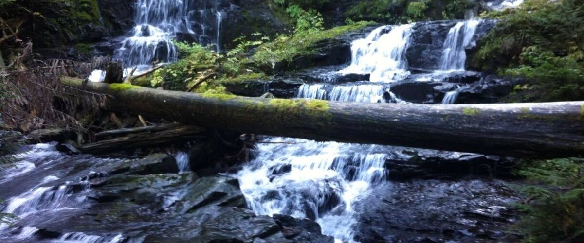 A multi-tiered waterfall surrounded by dense forest.
