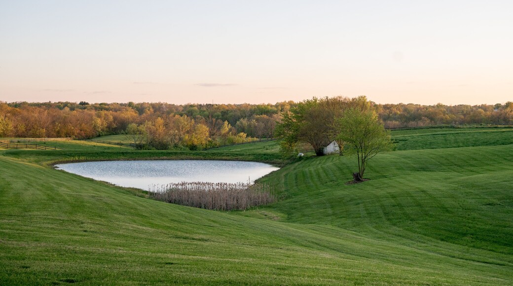 Landscape view of a farm with a pond at sunset