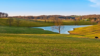 Un paisaje sereno con un lago, colinas ondulantes y ganado pastando.