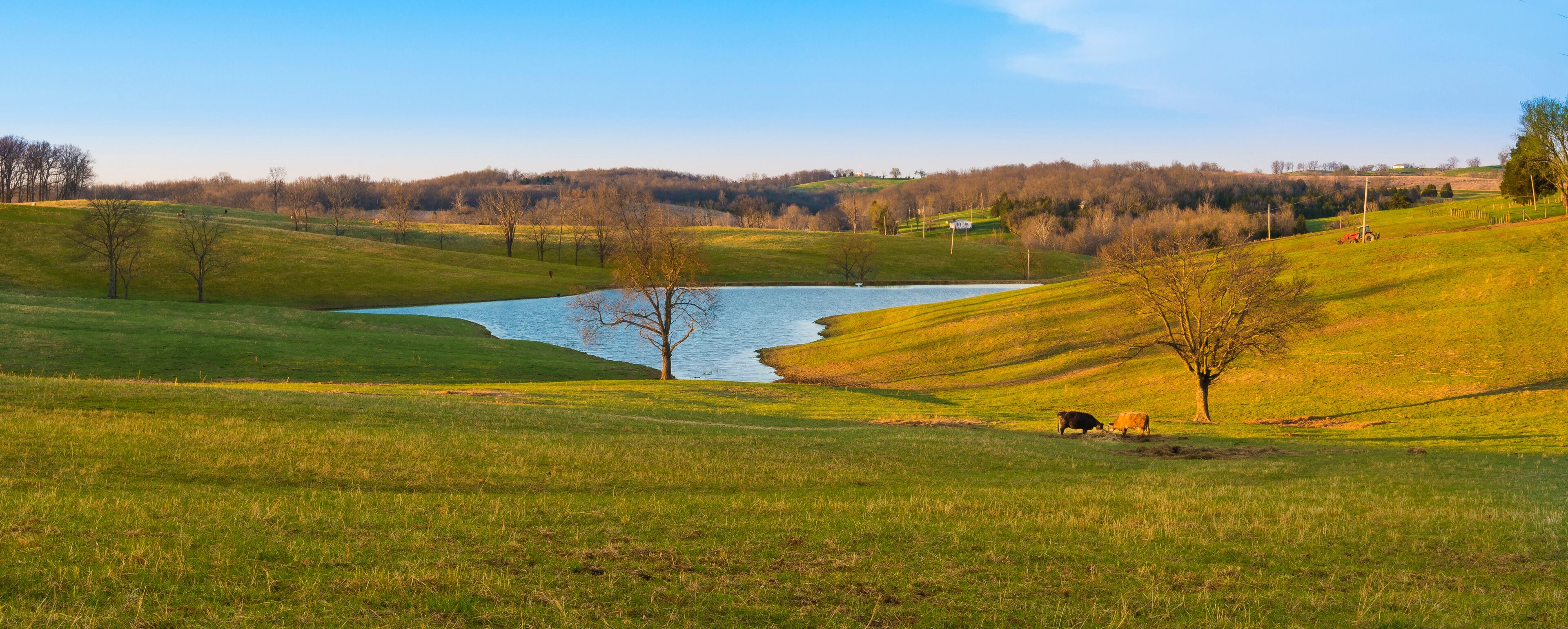 A serene landscape with a lake, rolling hills, and grazing cattle.