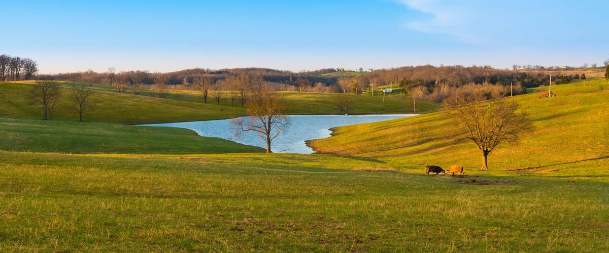 A serene landscape with a lake, rolling hills, and grazing cattle.