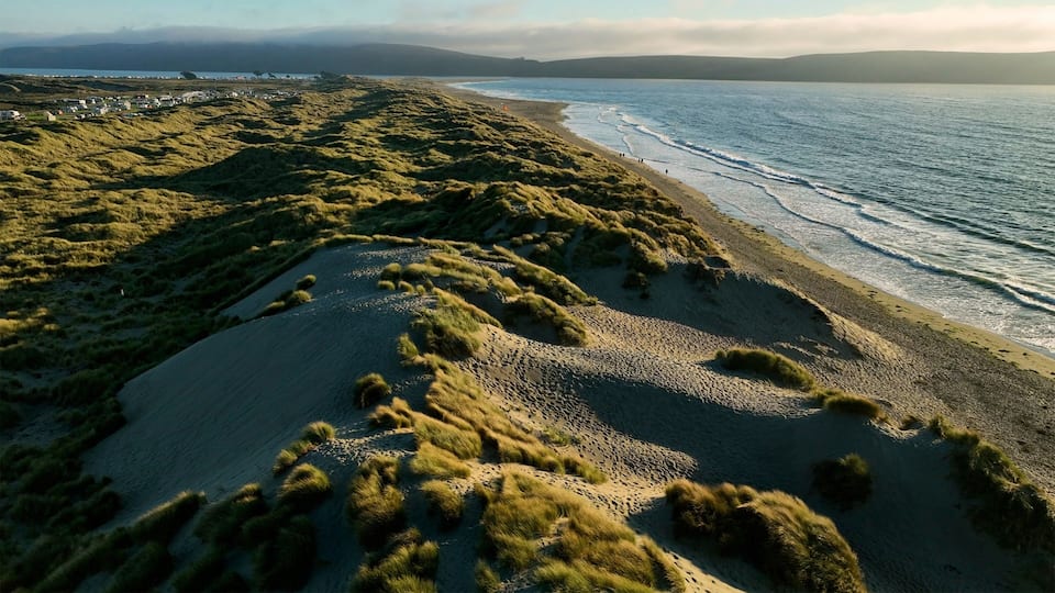 A coastal landscape with grassy dunes, a sandy beach, and a calm sea.
