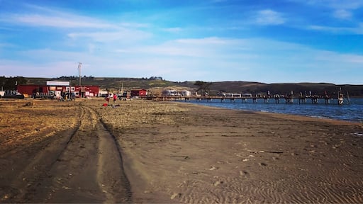 Amazing camping spot. Crabbing, camping, running, cows, elk, dog beach fishing