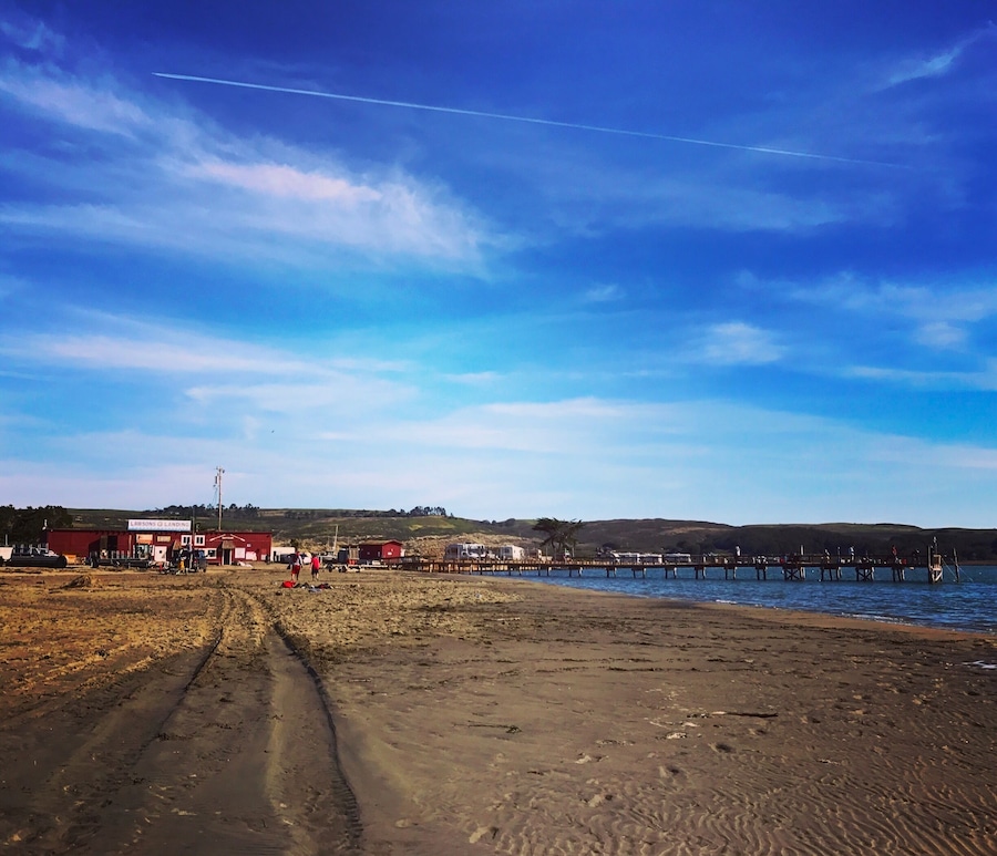 Amazing camping spot. Crabbing, camping, running, cows, elk, dog beach fishing