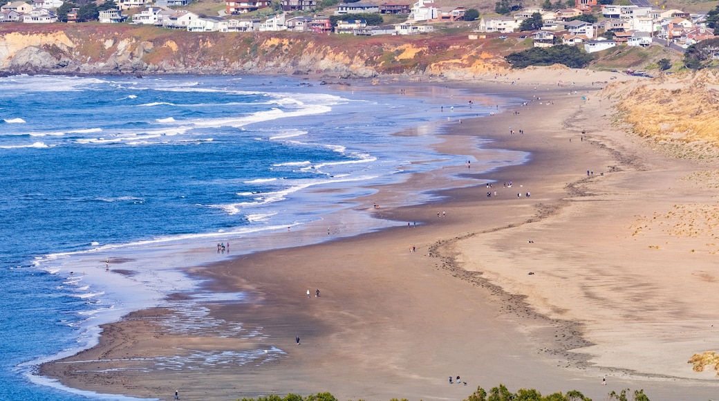 ๋๋ฐ ๋น์น