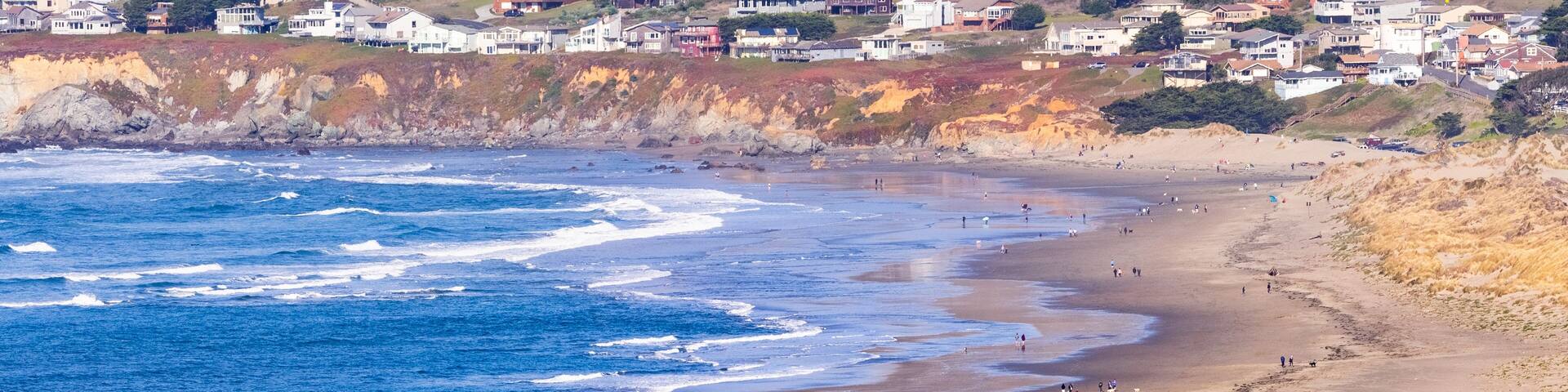 Aerial view of sandy beach in Bodega Bay; Tule Elks sitting on a pasture in Point Reyes National Seashore in the foreground; Houses in Dillon Beach in the background; Marin County, California;