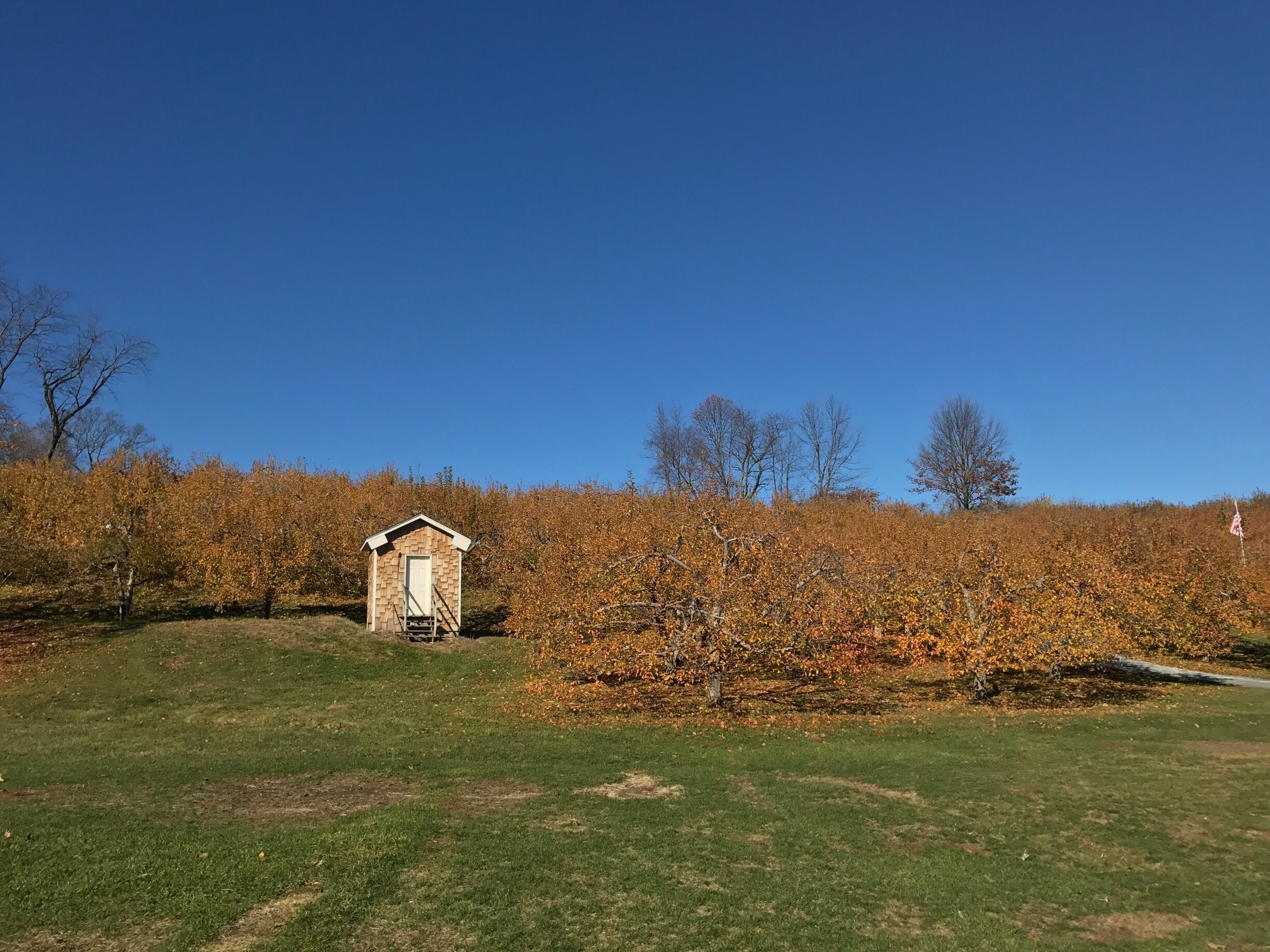 A small wooden structure on a grassy field with autumn-colored trees in the background.