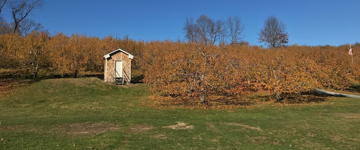 A small wooden structure on a grassy field with autumn-colored trees in the background.