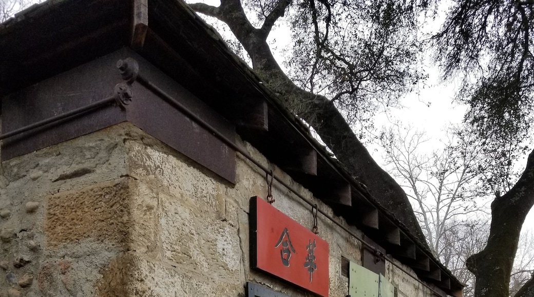 What a neat discovery on the first day of the lunar new year! #History Celebrating the Year of the Rat and 2020... Just two stores remain now. We are a nation of immigrants with rich heritage to share! #CaliforniaGold