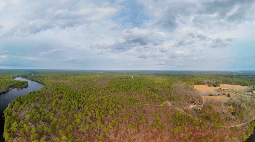 A river winding through a dense forest with a cloudy sky above.