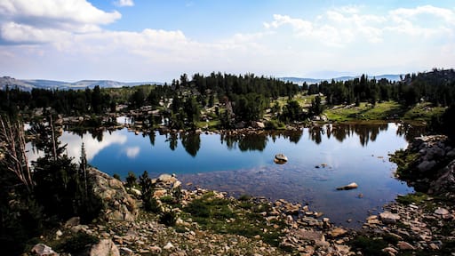 the top of the world