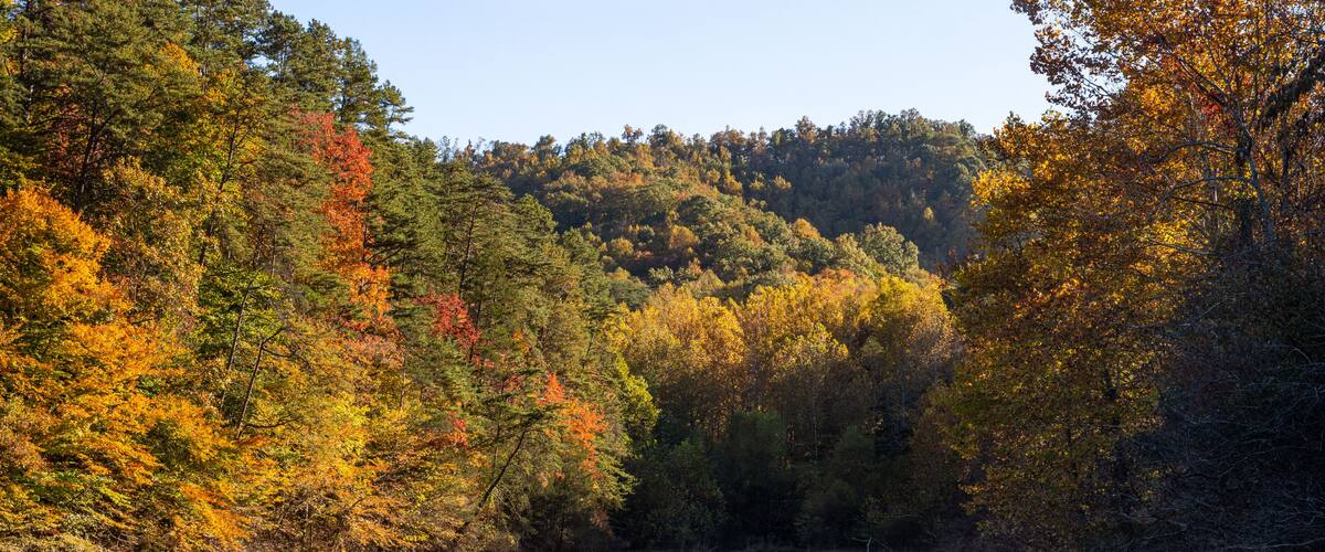 Autumn Color on Water
