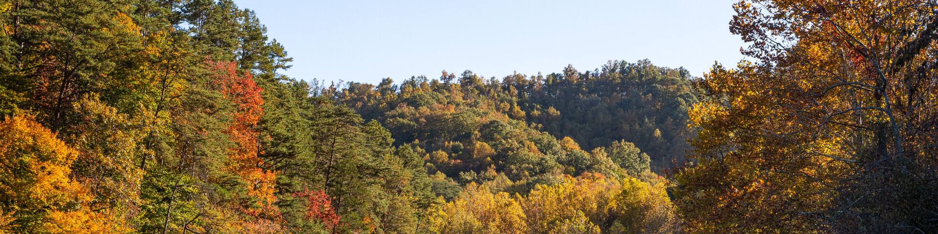 Autumn Color on Water