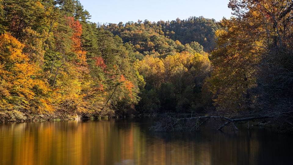 Autumn Color on Water