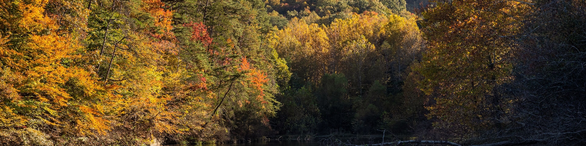 Autumn Color on Water