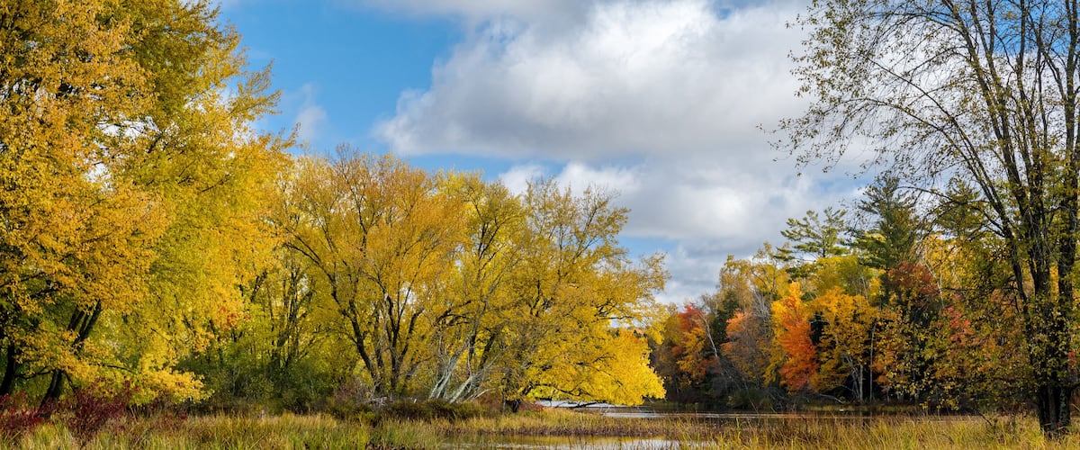 A river with autumn-colored trees and a cloudy sky.