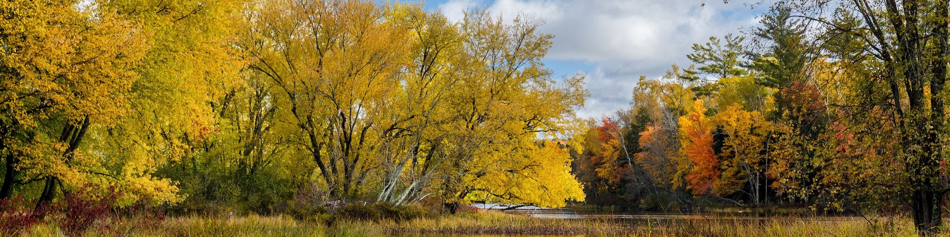 Autumn scenes along the Chippewa River in northern Wisconsin.