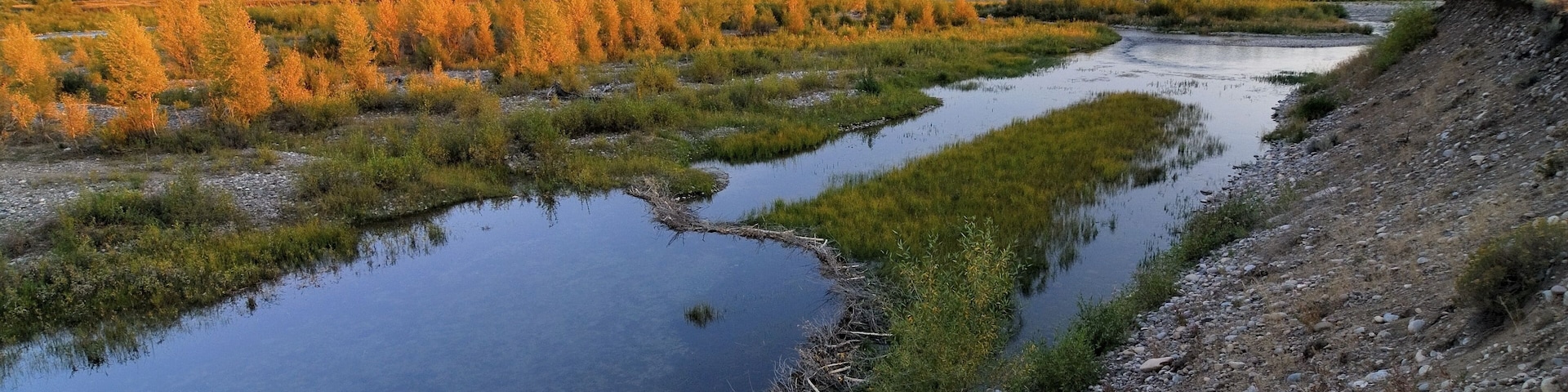 Un río serpentea por un valle con árboles de colores otoñales y montañas a lo lejos.