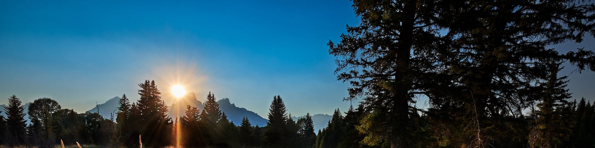 A grassy field with tall grass and trees, a mountain range in the background, and the sun setting or rising.