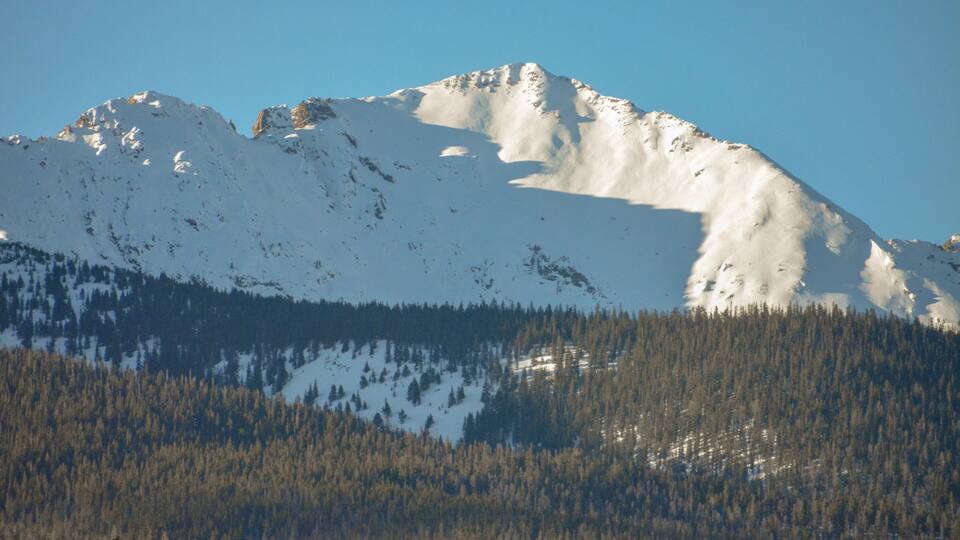 A snow-covered mountain with a forested base.