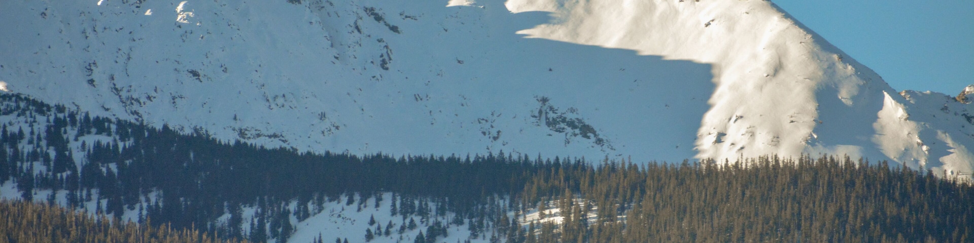 A snow-covered mountain with a forested base.