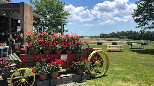 A Wagon with Flowers at a Farm Stand on Eastern Long Island, New York.