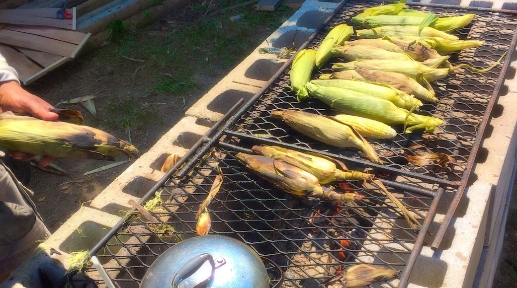 Beautiful fresh wood burning Cajun roasted corn being sold on the side of the road 20 feet from where it was grown.. The north fork of Long Island deep in wine country...
#foodporn
#roastedCorn