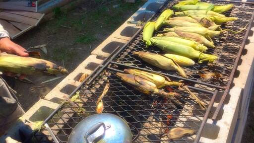 Beautiful fresh wood burning Cajun roasted corn being sold on the side of the road 20 feet from where it was grown.. The north fork of Long Island deep in wine country...
#foodporn
#roastedCorn
